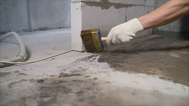 SJ Waterproofing Pros Waterproofing coverage map for Luther, MI and surrounding area